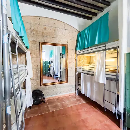 Auberge de jeunesse Ashavana Nest *