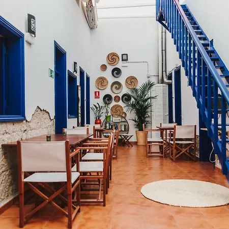 Auberge de jeunesse Ashavana Nest