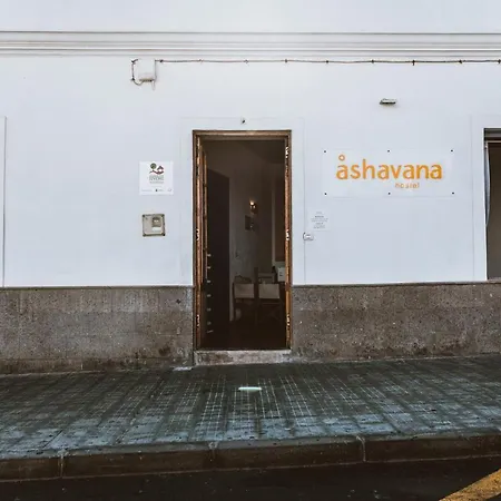 Ashavana Nest Auberge de jeunesse *