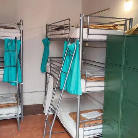 Ashavana Nest Hostel *