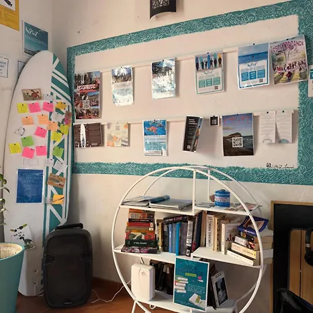 Hostal Ashavana Nest