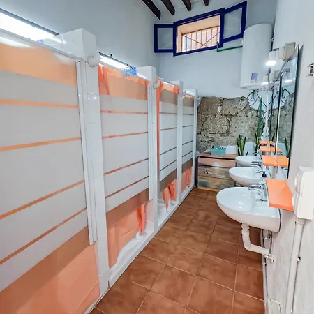 Hostal Ashavana Nest *
